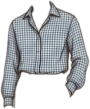 Gingham Shirt illustration